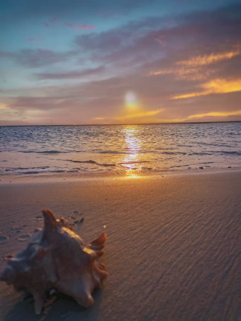 Videoframe 20211115 213640 Com.Huawei.Himovie.Overseas