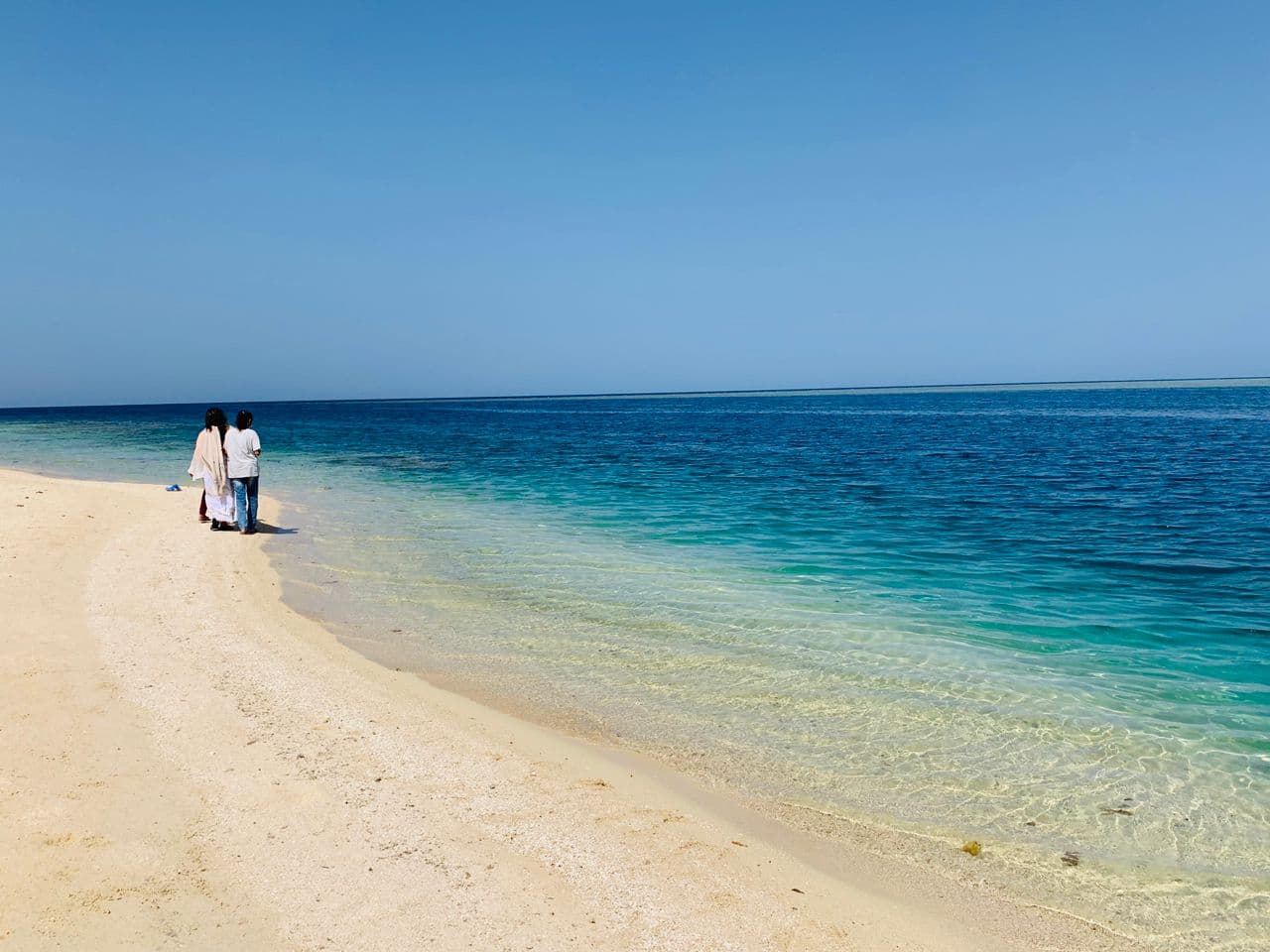 رحلات الجزر