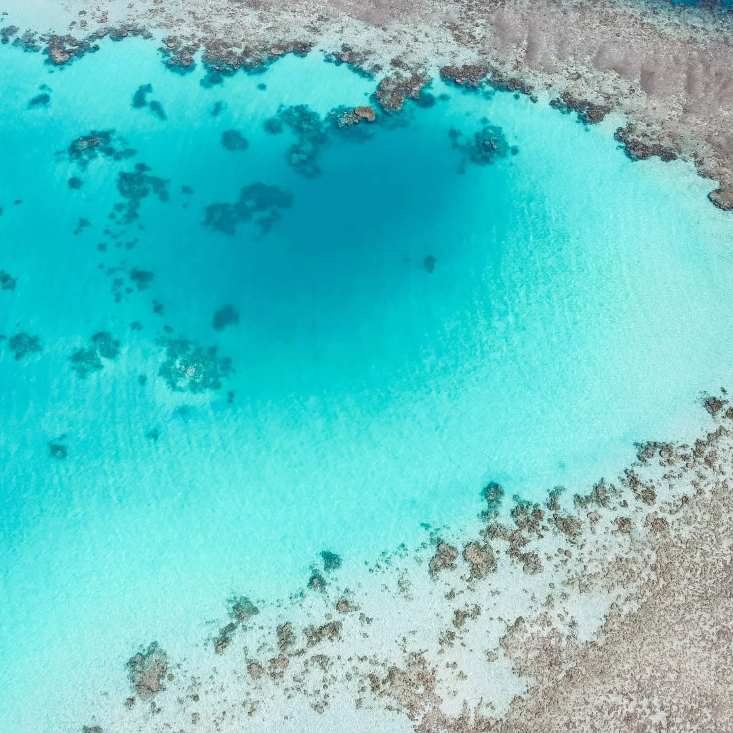 Red Sea Diving Escape