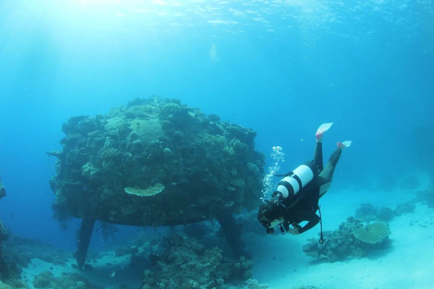 Diving and Snorkeling in Sudan's Red Sea