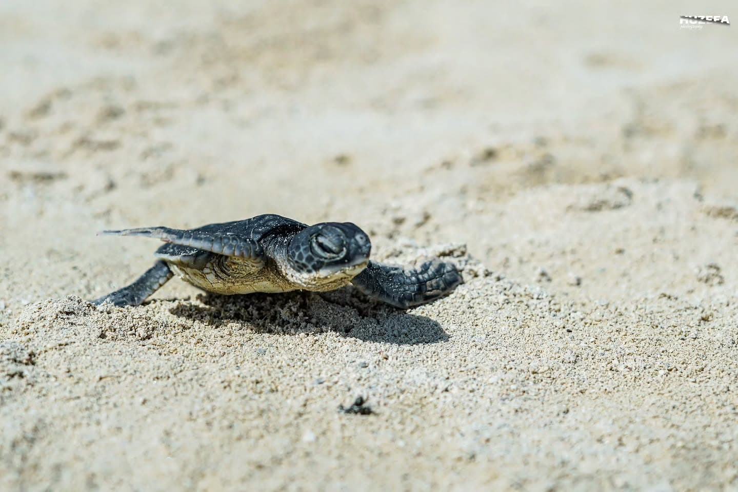 Custom Luxury Itinerary