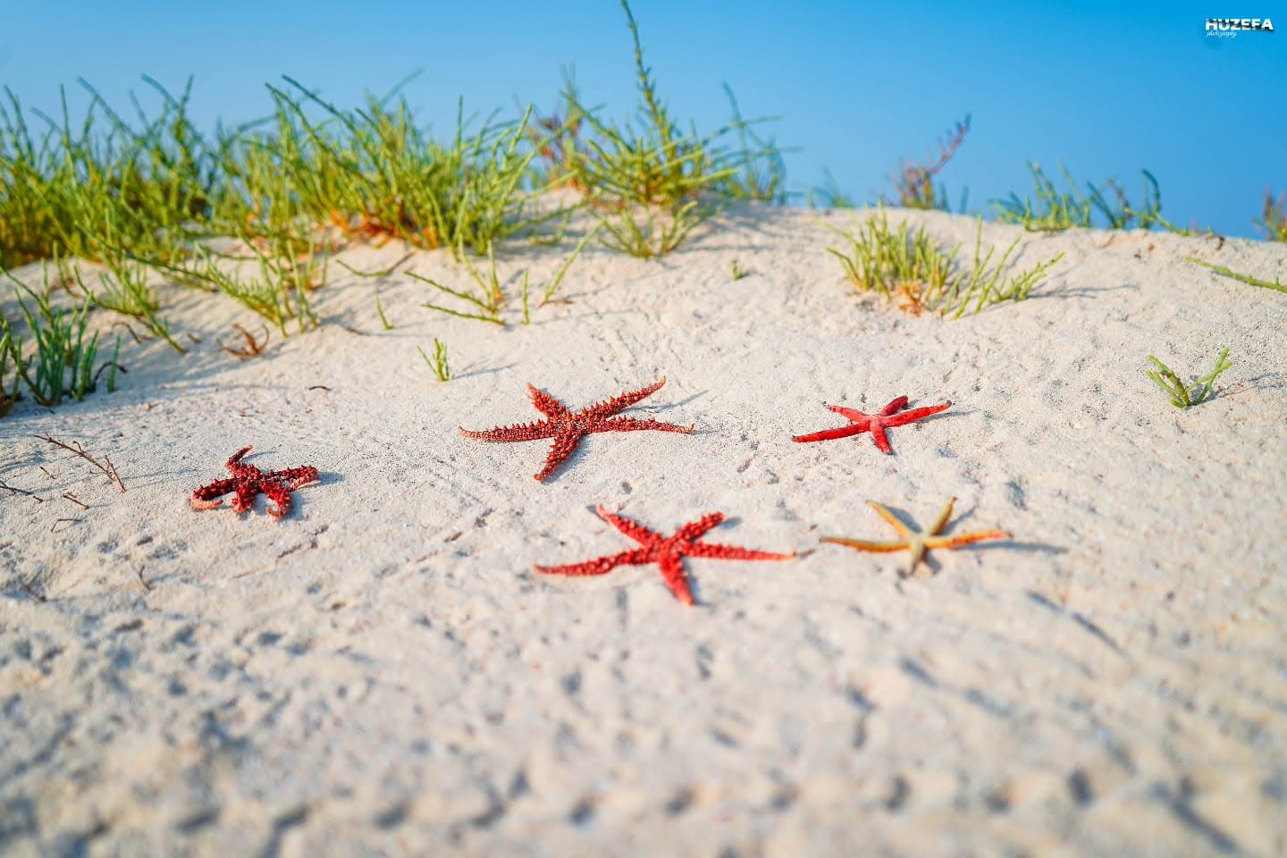 Family Beach Retreat