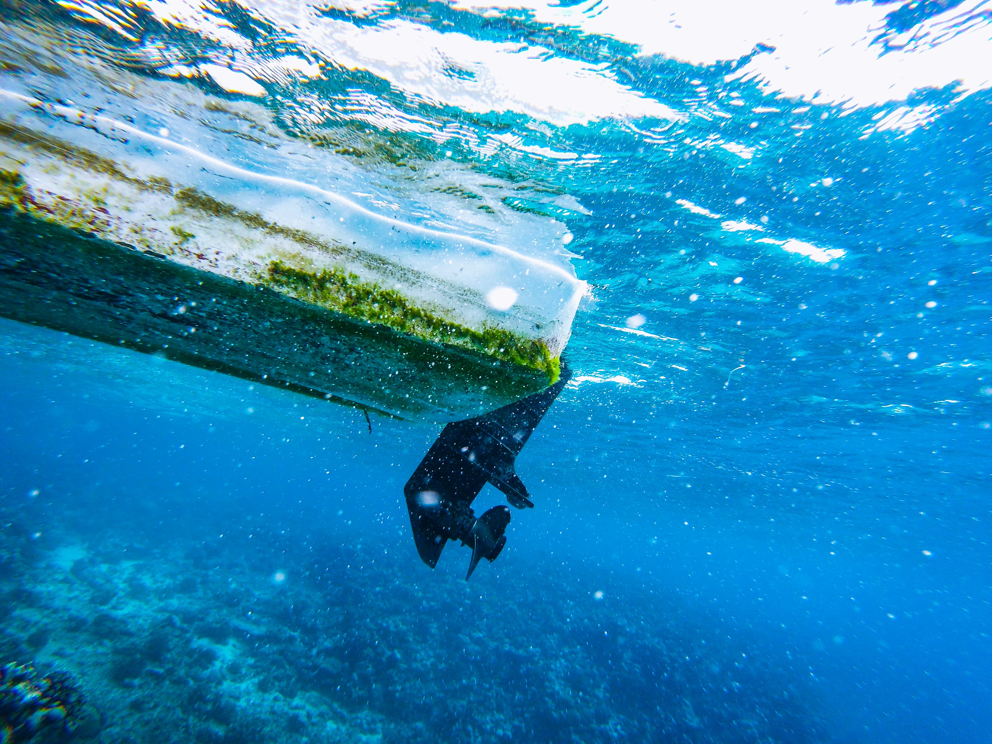 لماذا البحر الأحمر في السودان أقل تقديرًا مما يستحق