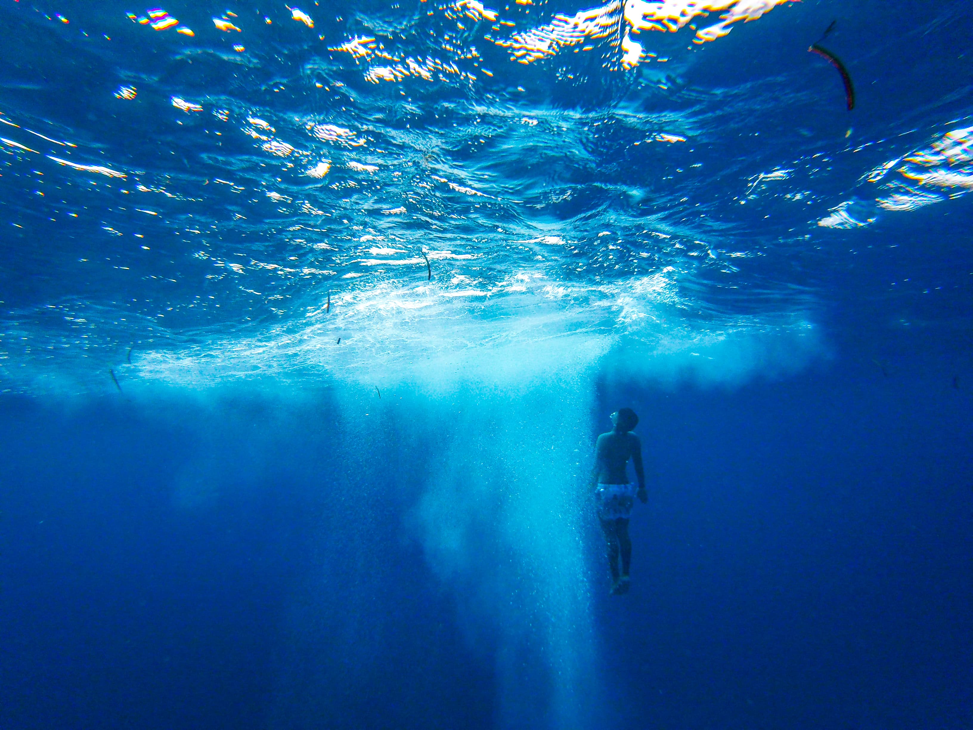 ???? ????? ?? ?????????