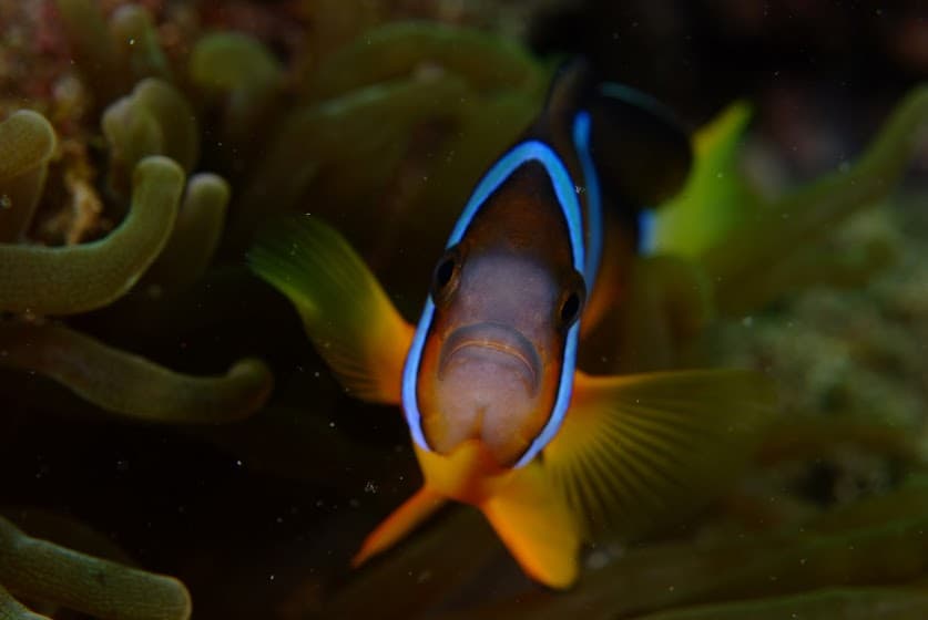 ابدأ بالرحلة التي تريدها ثم دع الفريق يصقلها